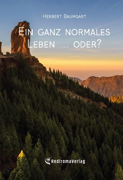 Produktbild: Ein ganz normales Leben ... oder?