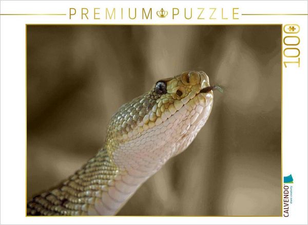 Produktbild: CALVENDO Puzzle Z&uuml;ngelnd die Welt erkunden | 1000 Teile Lege-Gr&ouml;&szlig;e 64x48cm Foto-Puzzle f&uuml;r gl&uuml;ckliche Stunden