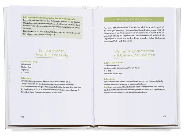 Produktbild: Das vegane Gesundheitsbuch
