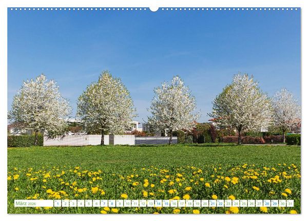 Produktbild: K&ouml;ln Widdersdorf - Bl&uuml;tentr&auml;ume und l&auml;ndliche Idylle (hochwertiger Premium Wandkalender 2026 DIN A2 quer), Kunstdruck in Hochglanz