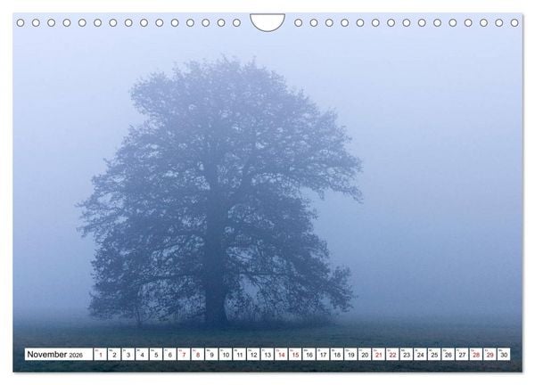 Produktbild: F&uuml;rstenfeldbruck - Streifzug durch Natur und Stadt (Wandkalender 2026 DIN A4 quer), CALVENDO Monatskalender