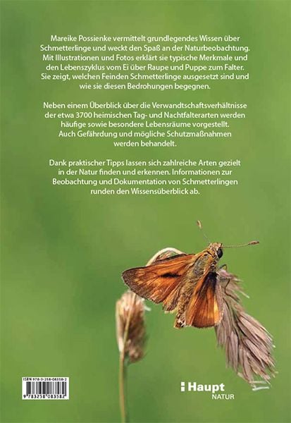 Produktbild: Schmetterlingswissen