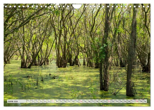 Produktbild: FLORIDA The Sunshine State (Wall Calendar 2026 DIN A4 landscape), CALVENDO 12 Month Wall Calendar