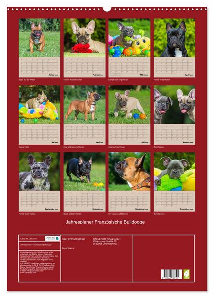 Produktbild: Jahresplaner Franz&ouml;sische Bulldogge (Wandkalender 2026 DIN A2 hoch), CALVENDO Monatskalender
