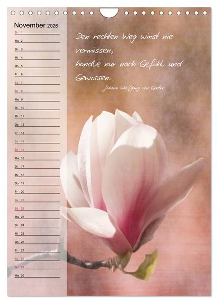 Produktbild: Blumen & Zitate / Geburtstagskalender (Wandkalender 2026 DIN A4 hoch), CALVENDO Monatskalender