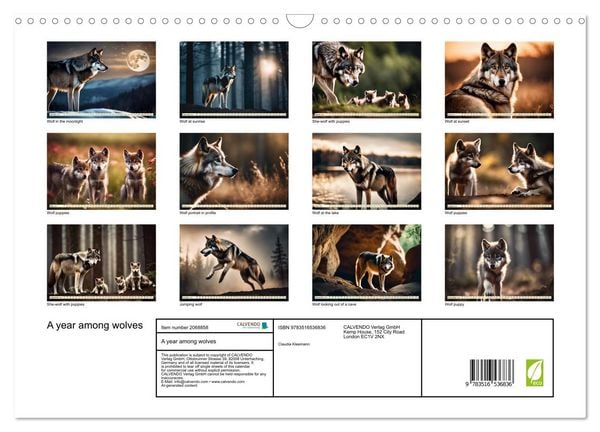 Produktbild: A year among wolves (Wall Calendar 2026 DIN A3 landscape), CALVENDO 12 Month Wall Calendar