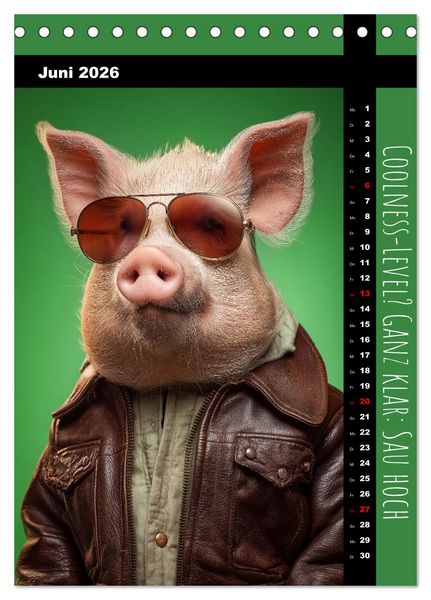 Produktbild: Coole Sau - Lustiger Spr&uuml;che Kalender mit witzigen Schweinchen (Tischkalender 2026 DIN A5 hoch), CALVENDO Monatskalender