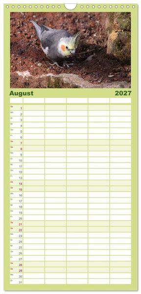 Produktbild: Familienplaner 2027 - Nymphensittiche mit 5 Spalten (Wandkalender, 21 x 45 cm) CALVENDO