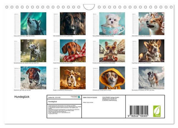 Produktbild: Hundegl&uuml;ck (Wandkalender 2026 DIN A4 quer), CALVENDO Monatskalender