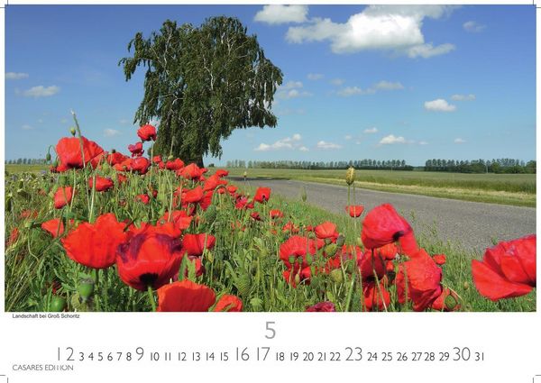 Produktbild: R&uuml;gen Kalender 2027 &ndash; Wandkalender | Fotokalender Deutschland 24x35cm |mit stimmungsvollen Bildern von Kreidefelsen, Str&auml;nden, Ostseeb&auml;dern und Naturparadiesen