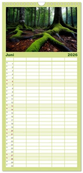 Produktbild: Familienplaner 2026 - Mystik der W&auml;lder mit 5 Spalten (Wandkalender, 21 x 45 cm) CALVENDO