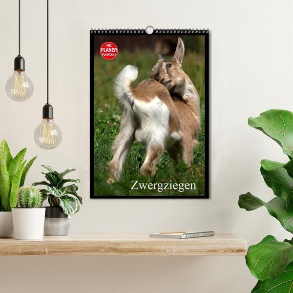 Produktbild: Zwergziegen (Wandkalender 2026 DIN A3 hoch), CALVENDO Monatskalender