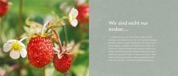 Produktbild: Allesk&ouml;nner im Garten