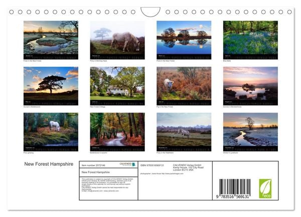 Produktbild: New Forest Hampshire (Wall Calendar 2026 DIN A4 landscape), CALVENDO 12 Month Wall Calendar