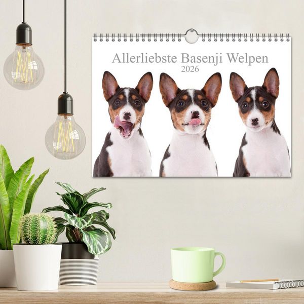 Produktbild: Allerliebste Basenji Welpen 2026 (Wandkalender 2026 DIN A4 quer), CALVENDO Monatskalender