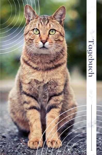 Produktbild: Tagebuch Katze