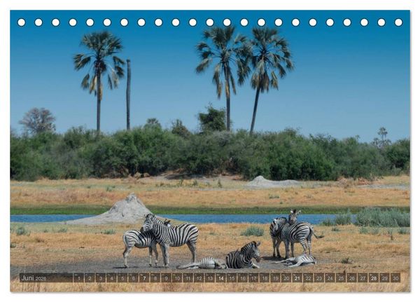 Produktbild: Botswana &ndash; Landschaft und Tierwelt (Tischkalender 2026 DIN A5 quer), CALVENDO Monatskalender
