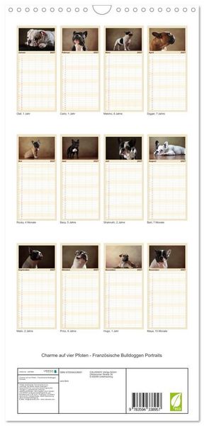 Produktbild: Familienplaner 2027 - Charme auf vier Pfoten - Franz&ouml;sische Bulldoggen Portraits mit 5 Spalten (Wandkalender, 21 x 45 cm) CALVENDO