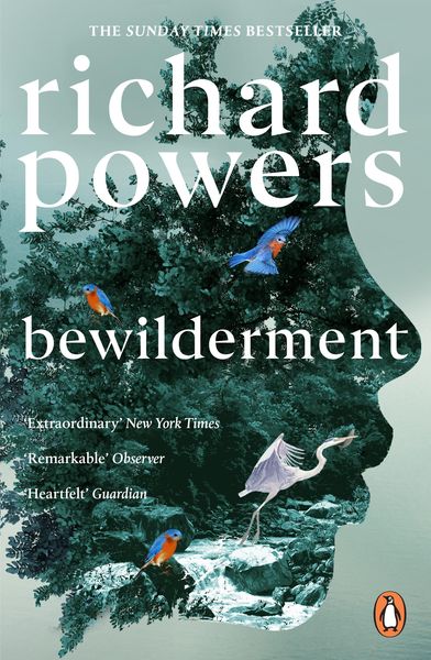 Produktbild: Bewilderment