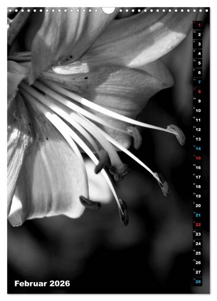 Produktbild: Blumige Graustufen - Schwarz und Wei&szlig; (Wandkalender 2026 DIN A3 hoch), CALVENDO Monatskalender