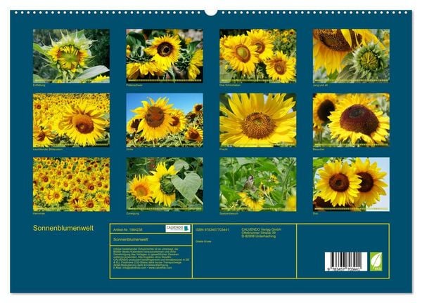 Produktbild: Sonnenblumenwelt (hochwertiger Premium Wandkalender 2026 DIN A2 quer), Kunstdruck in Hochglanz