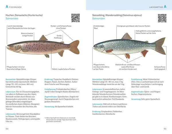 Produktbild: Fischerprüfung