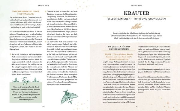 Produktbild: Zaubernuss und Waldmagie &ndash; Naturmomente f&uuml;r deine Seele