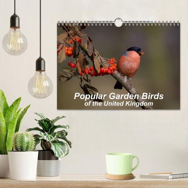 Produktbild: Popular garden birds of the united kingdom (Wall Calendar 2026 DIN A4 landscape), CALVENDO 12 Month Wall Calendar