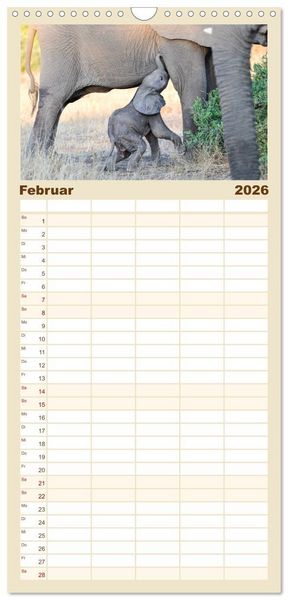 Produktbild: Familienplaner 2026 - Babyelefanten mit 5 Spalten (Wandkalender, 21 x 45 cm) CALVENDO