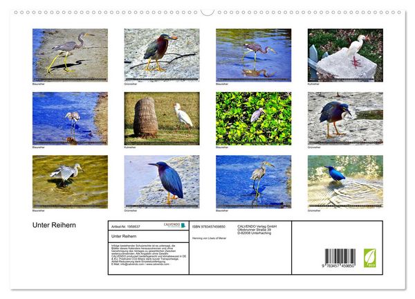 Produktbild: Unter Reihern (hochwertiger Premium Wandkalender 2026 DIN A2 quer), Kunstdruck in Hochglanz