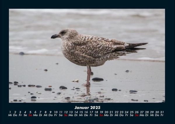 Produktbild: Vogelparadies 2025 Fotokalender DIN A4