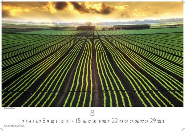 Produktbild: Florida Kalender 2027 &ndash; Wandkalender | Fotokalender Nordamerika 35x50cm Traumhafte Landschaften & K&uuml;stenst&auml;dte voller Lebensfreude, perfekt als Geschenkidee
