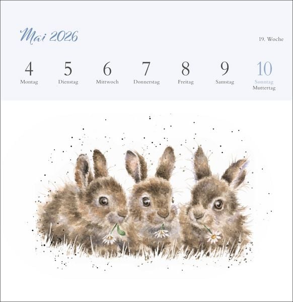 Produktbild: Hannah Dale: Happy Animals Premium-Postkartenkalender 2026