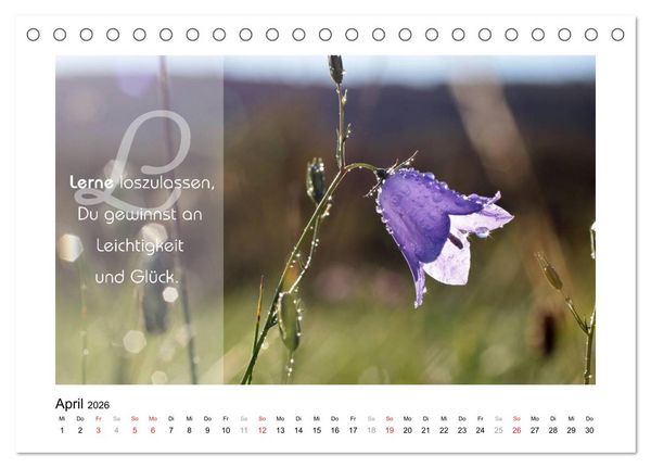 Produktbild: Kraft f&uuml;r Deine Seele (Tischkalender 2026 DIN A5 quer), CALVENDO Monatskalender