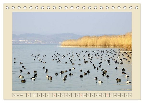 Produktbild: Impressionen vom sch&ouml;nen Bodensee (Tischkalender 2026 DIN A5 quer), CALVENDO Monatskalender
