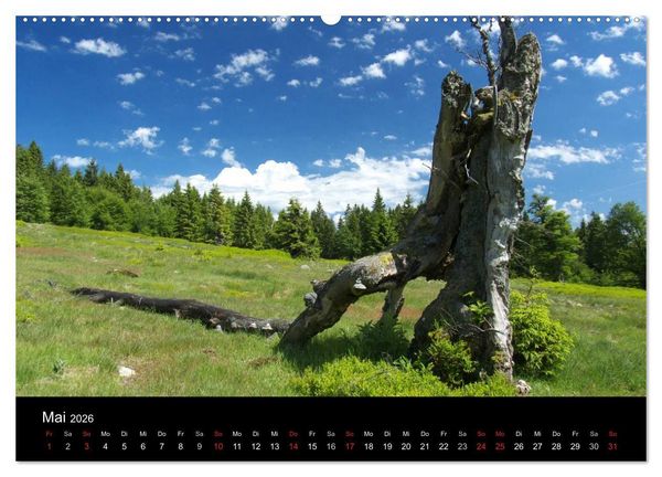 Produktbild: Bayerischer Wald - der Osten Bayerns (Wandkalender 2026 DIN A2 quer), CALVENDO Monatskalender
