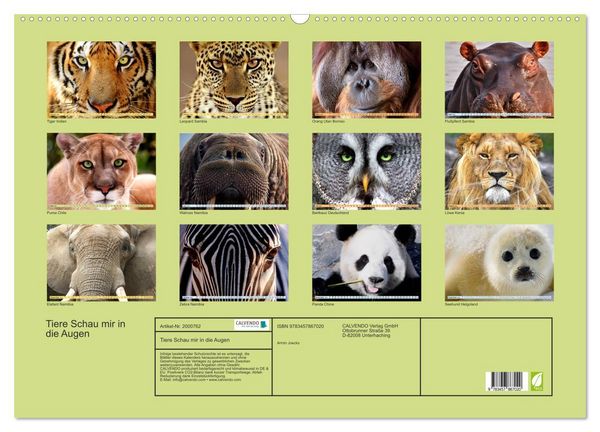 Produktbild: Tiere Schau mir in die Augen (Wandkalender 2026 DIN A2 quer), CALVENDO Monatskalender