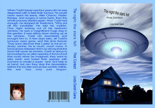 Produktbild: The night the stars fell