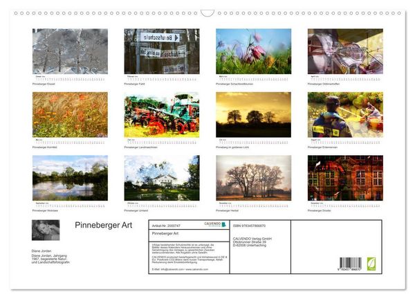 Produktbild: Pinneberger Art (Wandkalender 2026 DIN A2 quer), CALVENDO Monatskalender