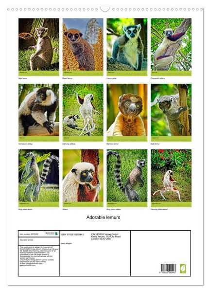 Produktbild: Adorable lemurs (Wall Calendar 2026 DIN A2 portrait), CALVENDO 12 Month Wall Calendar