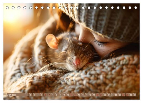 Produktbild: Mein bester Kumpel ist eine Ratte (Tischkalender 2026 DIN A5 quer), CALVENDO Monatskalender