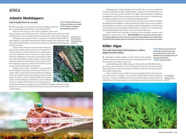 Produktbild: Atlas Obscura: Wild Life
