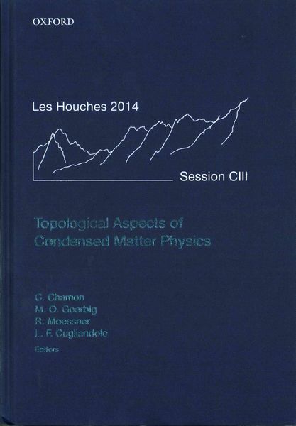 Produktbild: Topological Aspects of Condensed Matter Physics