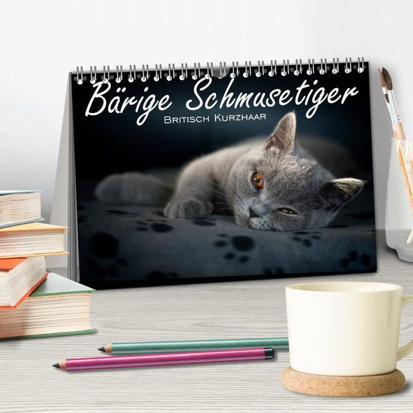Produktbild: B&auml;rige Schmusetiger - Britisch Kurzhaar / CH-Version (Tischkalender 2026 DIN A5 quer), CALVENDO Monatskalender