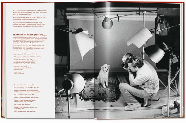 Produktbild: Walter Chandoha