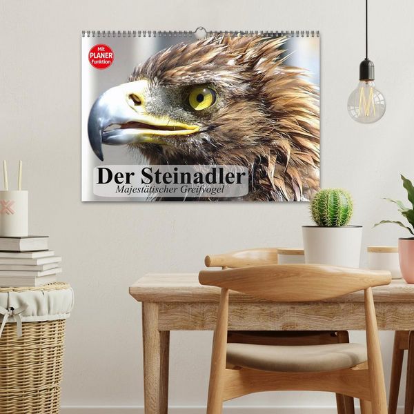 Produktbild: Der Steinadler. Majest&auml;tischer Greifvogel (Wandkalender 2026 DIN A3 quer), CALVENDO Monatskalender