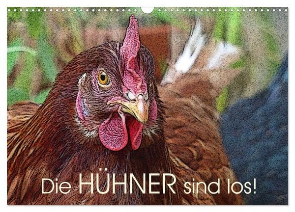 Produktbild: Die H&uuml;hner sind los! (Wandkalender 2026 DIN A3 quer), CALVENDO Monatskalender