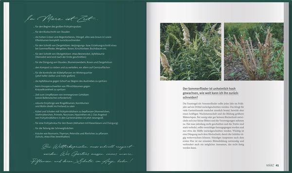 Produktbild: Mdr Garten - Das gr&uuml;ne Telefon
