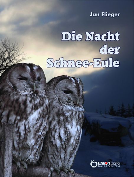 Produktbild: Die Nacht der Schnee-Eule