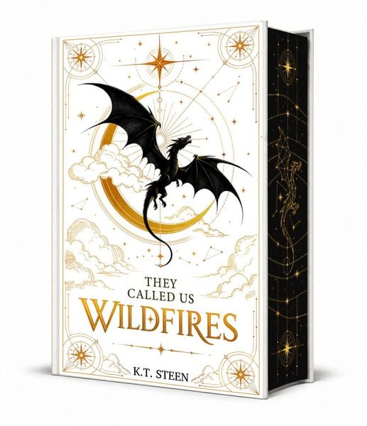 Produktbild: They Called Us Wildfire
